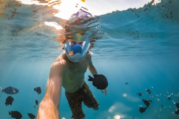 Ultimate Dolphin House Snorkeling Adventure with Lunch in Hurghada