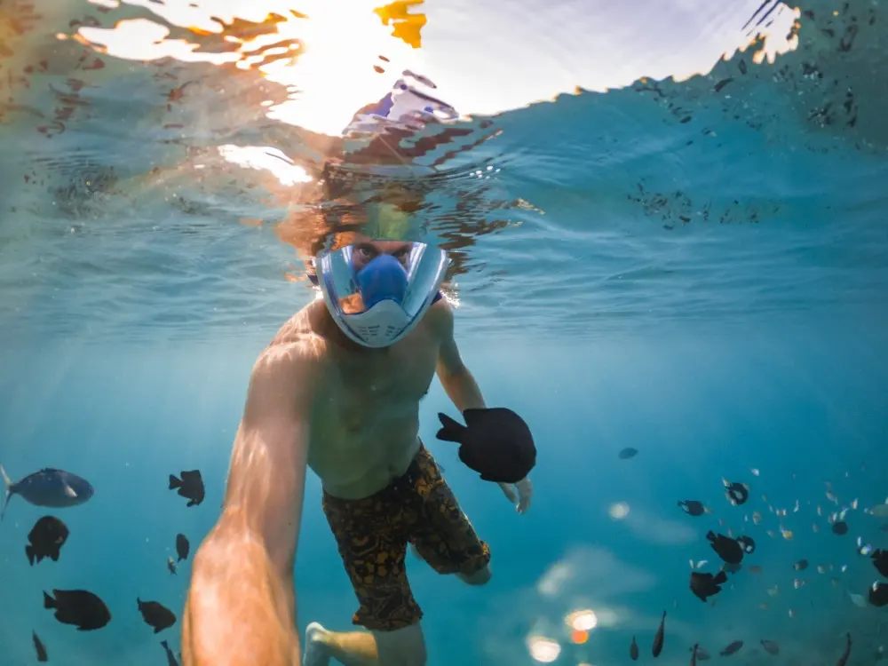Ultimate Dolphin House Snorkeling Adventure with Lunch in Hurghada