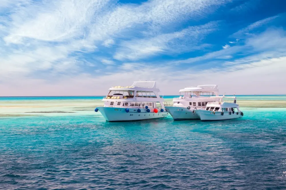 Ultimate Dolphin House Snorkeling Adventure with Lunch in Hurghada