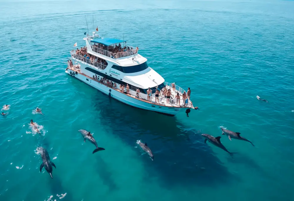 Ultimate Dolphin House Snorkeling Adventure with Lunch in Hurghada