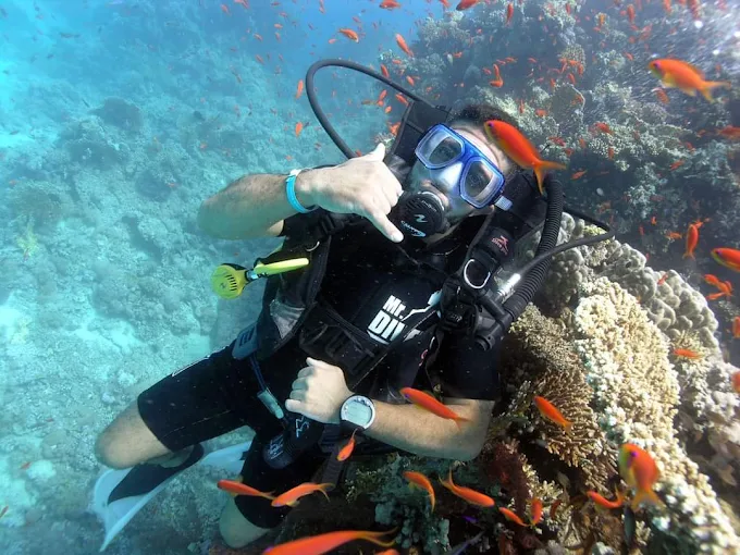 Amazing Royal Seascope Submarine with Snorkel in Hurghada