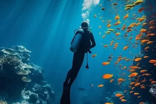 Amazing Royal Seascope Submarine with Snorkel in Hurghada