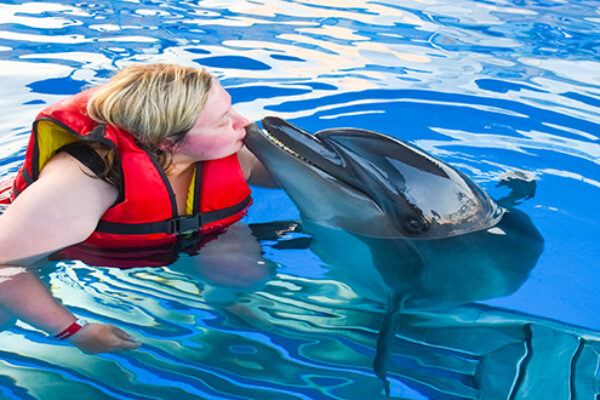 Amazing Dolphin Show Experience in Hurghada