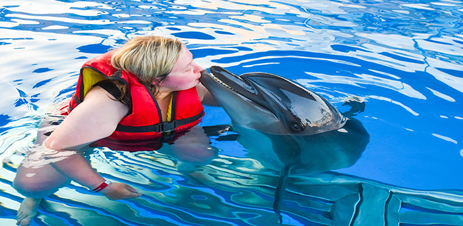 Amazing Dolphin Show Experience in Hurghada