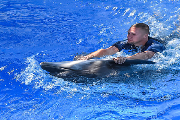 Amazing Dolphin Show Experience in Hurghada
