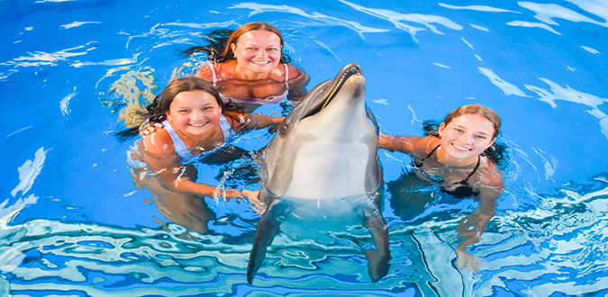 Amazing Dolphin Show Experience in Hurghada