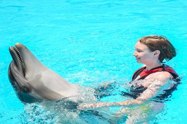 Amazing Dolphin Show Experience in Hurghada