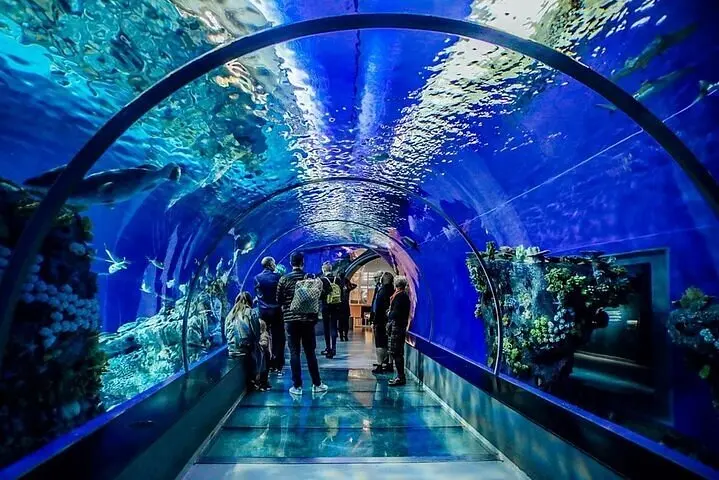 Unforgettable Grand Aquarium in Hurghada	
