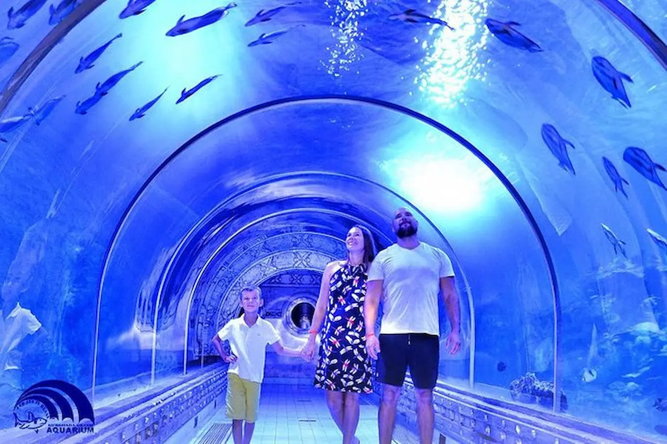 Unforgettable Grand Aquarium in Hurghada	