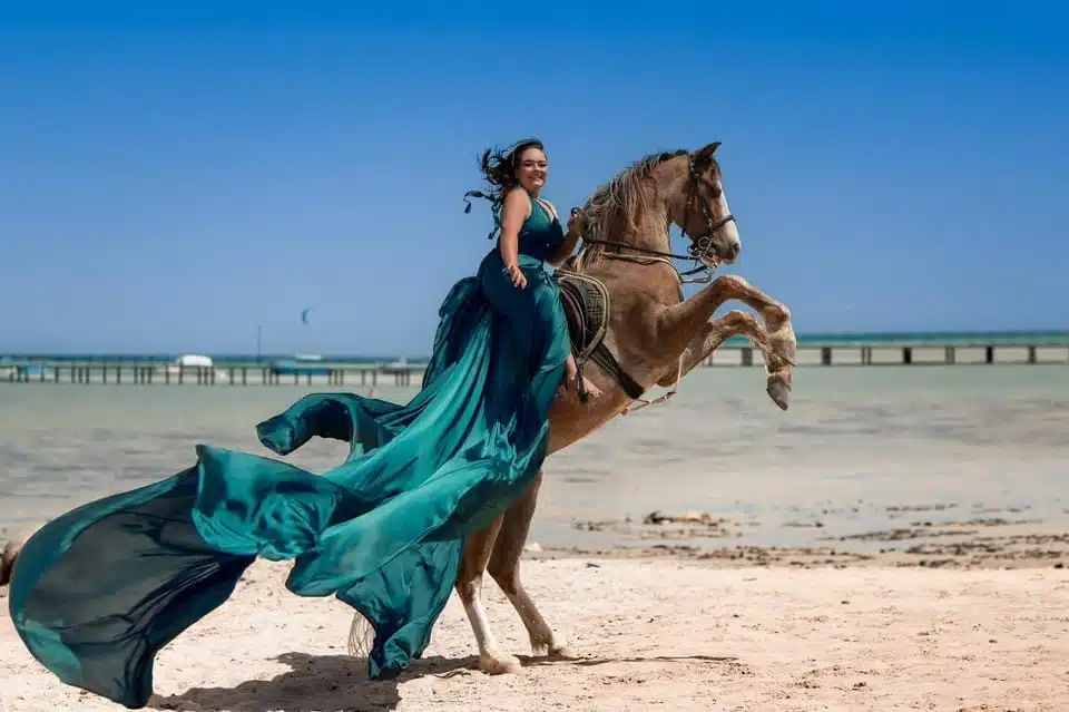 Thrilling Horse Riding in Hurghada