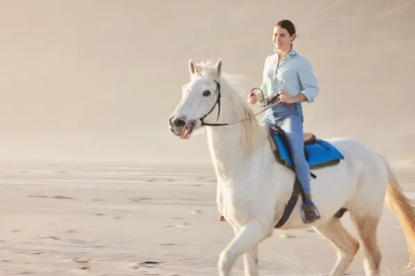 Thrilling Horse Riding in Hurghada