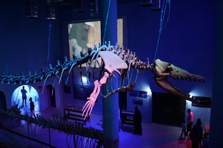 Unforgettable Grand Aquarium in Hurghada	Unforgettable Grand Aquarium in Hurghada
