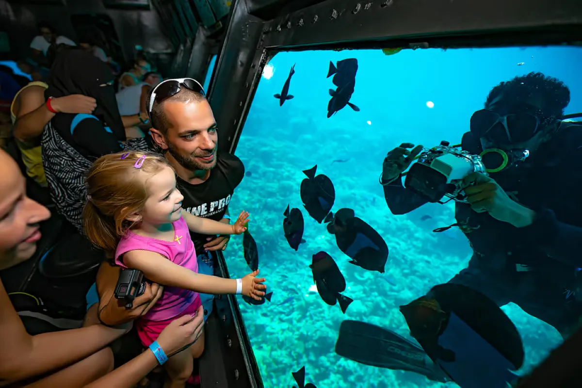 Select Amazing Panorama Submarine Cruise with Snorkeling in Hurghada	Amazing Panorama Submarine Cruise with Snorkeling in Hurghada