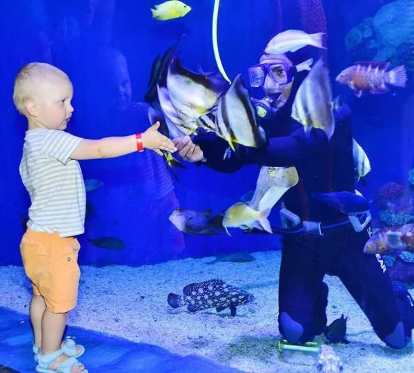 Unforgettable Grand Aquarium in Hurghada	