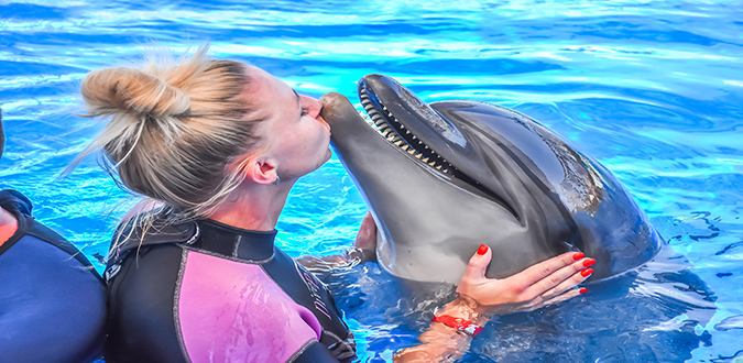 Amazing Dolphin Show Experience in Hurghada