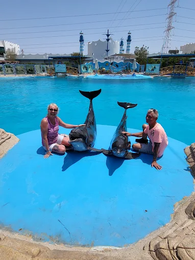Amazing Dolphin Show Experience in Hurghada