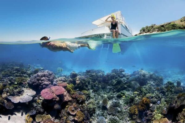 Ultimate Sharm El Naga Snorkeling Adventure & Crystal Reef Experience